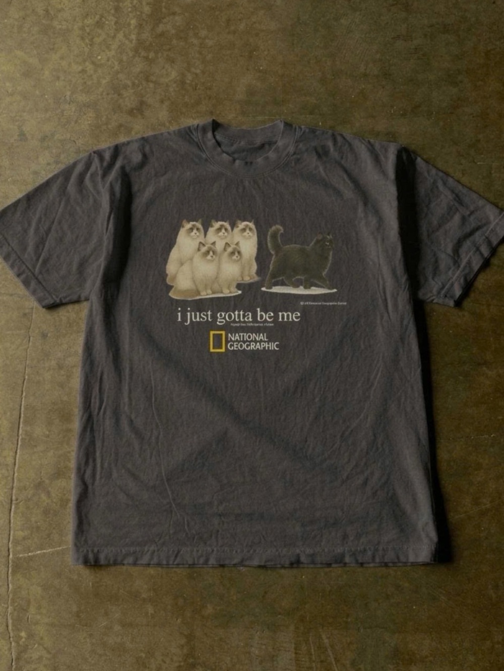 National Geographic 'I Just Gotta Be Me' Cat Graphic Tee - Black